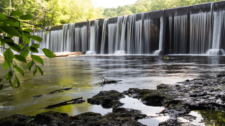 Nestled Between Two Tennessee Rivers: A Scenic State Park Filled with Wildflowers and Waterfalls