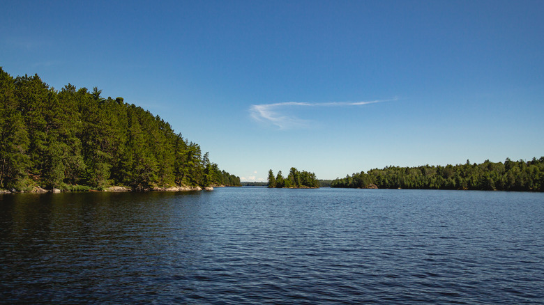 Discover Minnesota's Vast Lake: A Summer Retreat with Secluded Cabins in Voyageurs National Park