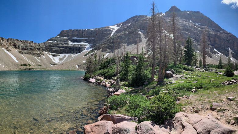 A Pristine Paradise: Utah's Blue Lake Encircled by Snowy Mountains and Wildflower Fields