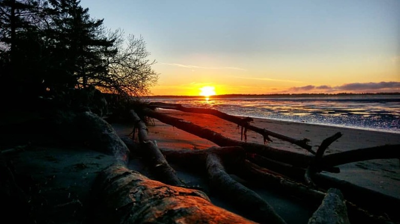 Discover Washington's Hidden Gem: A Budget-Friendly Beach State Park with Scenic Shores, Wildlife, and Easy Hiking Trails