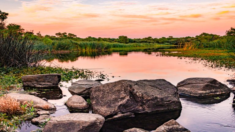 A Beautiful Lakeside Campground in California Boasts Scenic Nature Trails and Breathtaking Views