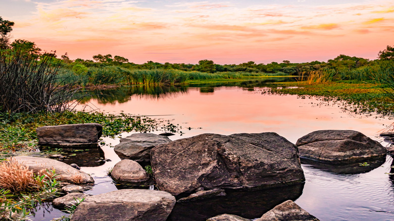 A Beautiful Lakeside Campground in California Boasts Scenic Nature Trails and Breathtaking Views