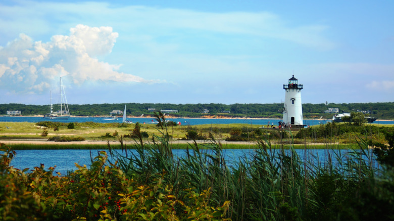 Discover Massachusetts' Hidden Gem: An Uncrowded, Beachy Haven on Martha's Vineyard