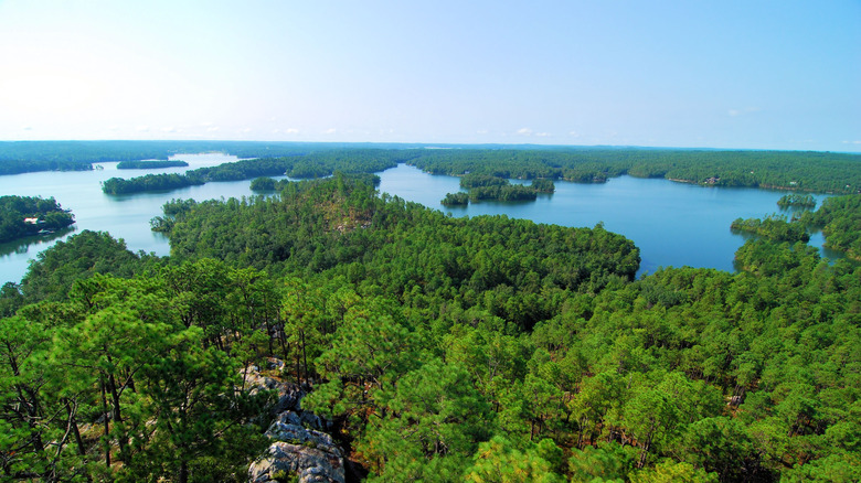 Alabama's Premier Lakeside Getaway: The Ultimate Summer Spot for Water Fun and Scenic Wooded Shores