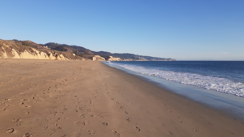 California's Expansive Sandy Beach with Calm Waters: An Underrated National Seashore Close to San Francisco