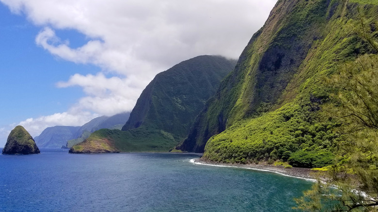 A Stunning Hawaiian Park Offers a Retreat with Breathtaking Views of the World's Tallest Sea Cliffs