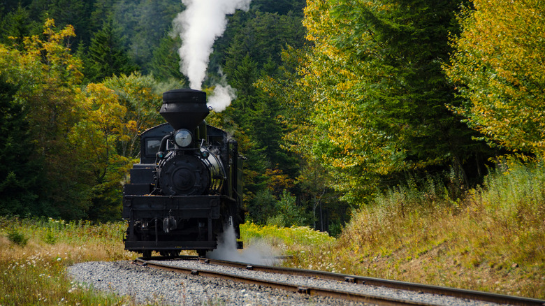 Explore an Iconic Steam Train Journey Through Breathtaking Mountain Scenery in This Tranquil West Virginia Town