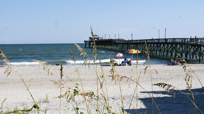 South Carolina's Coastal Retreat: Serenity and Sands Between Myrtle Beach and Ocean Isle