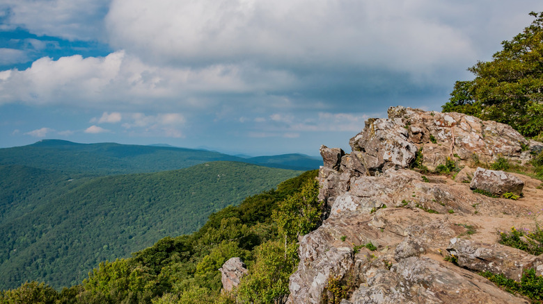 Discover Virginia's Gem: Shenandoah's Highest Peak Offering Panoramic Views of the Valley and Blue Ridge Mountains