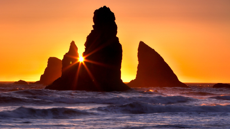 Oregon's Expansive Southern Coast Beach: A Hidden Gem for Hikers
