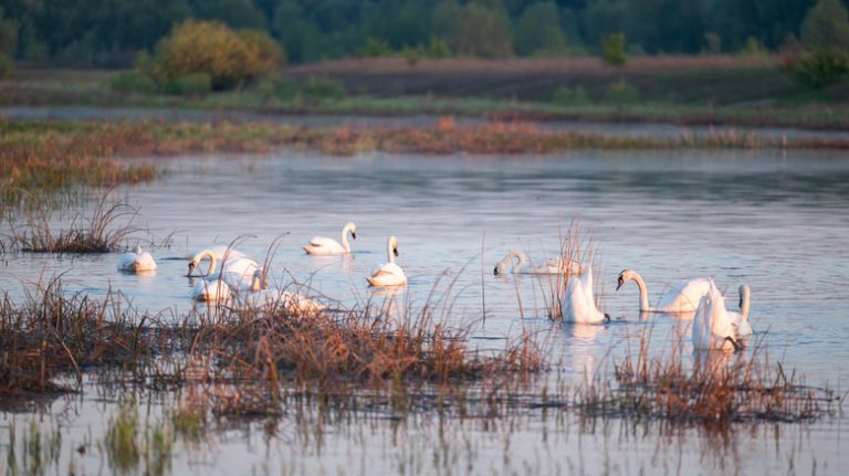 This Tranquil North Carolina Coastal Village Offers Bay Views, Fresh Seafood, and Outdoor Activities