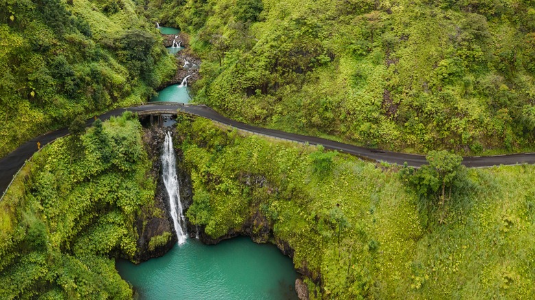 World-Famous Hawaiian Highway: A Scenic Drive with Twists, Turns, Waterfalls, and Tropical Charm