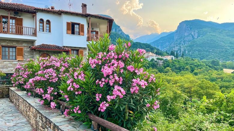 Greece's Hidden Retirement Gem: An Enchanting, Budget-Friendly Mountain Town with a Colorado Feel and Proximity to Beaches