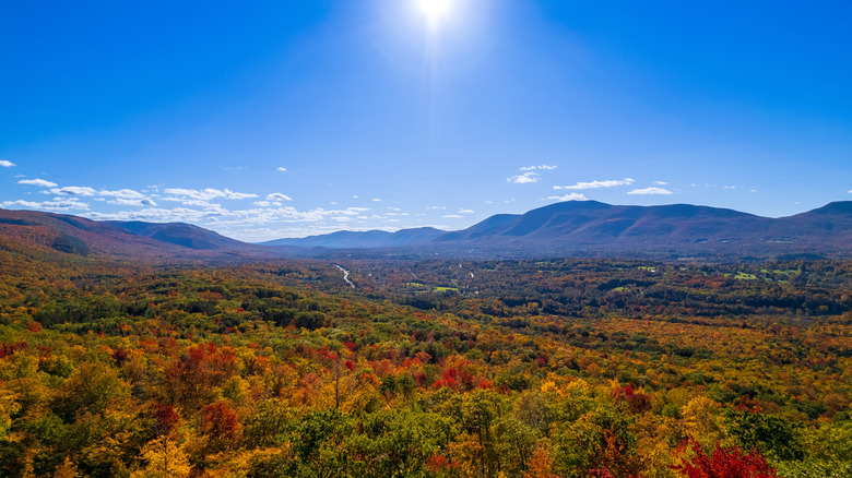 A Charming Vermont Village: The Ultimate Romantic Getaway with Cafes, Cozy B&Bs, and a Grand Bookstore
