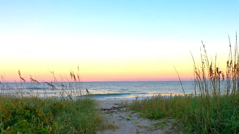 Florida's Tranquil State Park, Accessible Only by Boat, Boasts Serene Beaches and Peaceful Boardwalk Trails