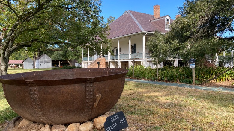 Explore the Creole Culture, Natural Beauty, and History of This Protected Louisiana River