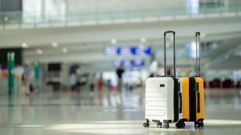 Understanding Travel 'Dead Zones' and Why They're Ideal for Booking Your Trip