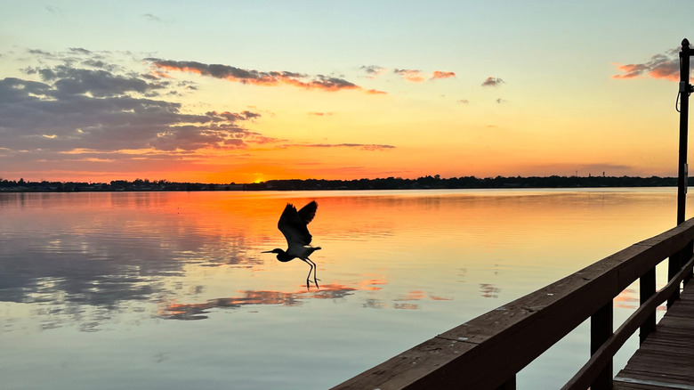 Nestled Between Tampa and Orlando: Florida's Lake-Encircled City with Citrus-Scented Trails