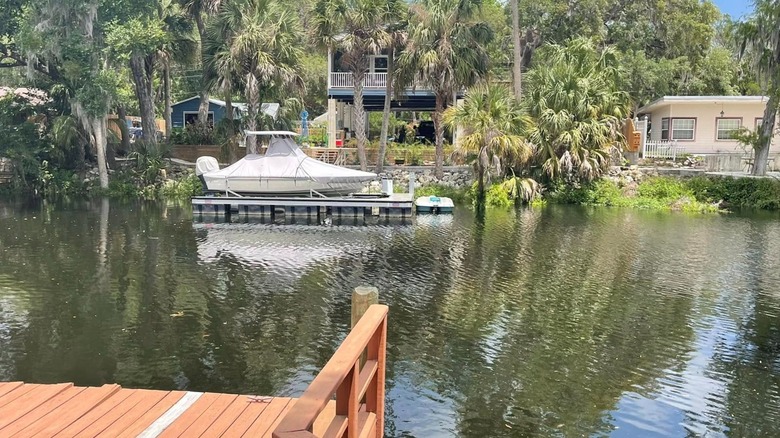 A Charming Town on Florida's Nature Coast Boasts Vibrant Waterways and Rich Wildlife