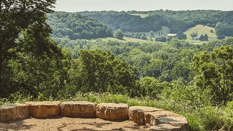 The Abandoned Earth Station in Illinois: A Hauntingly Beautiful Ruin