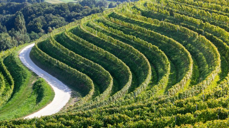The Enchanting 'Garden of Croatia': A Hidden Gem with Vineyards and Fairytale Fortresses