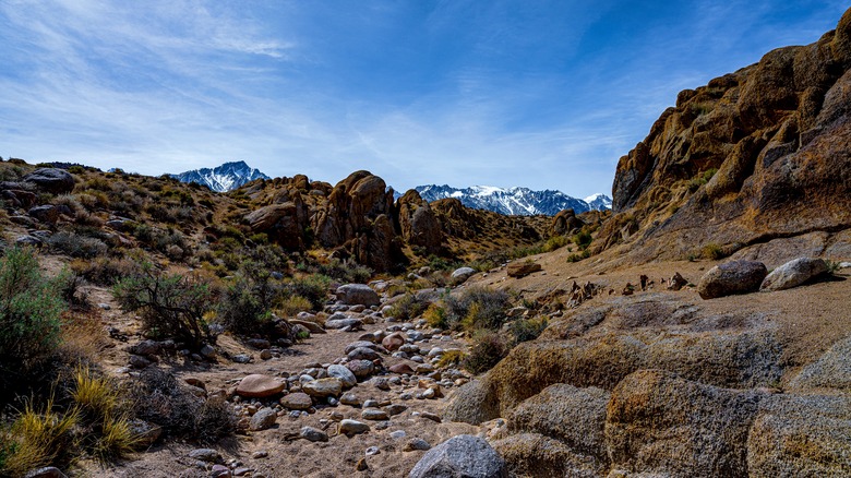 Free Wild Camping in 'The Buttermilks': A Scenic California Basin Favored by Climbers and Mountain Bikers