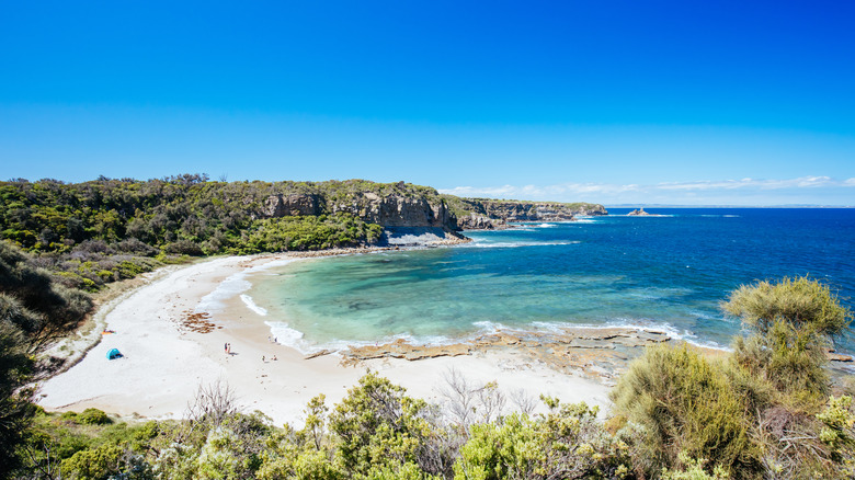 Australia's Relaxed Seaside Town, Dubbed the 'Pearl of the Bass Coast,' Features Rich Marine Life and Stunning Beaches