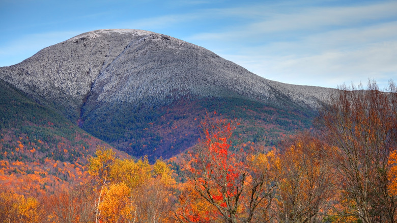 Discover America's Most Affordable State for 2025: A Scenic New England Gem with No Sales or Income Tax