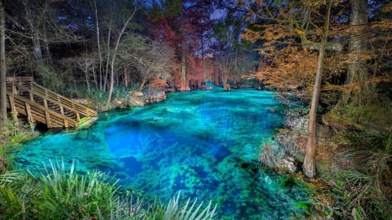 Discover a Serene Paradise at Florida's Hidden Springs State Park: Crystal Waters, Underwater Caves, and Scenic Trails Await