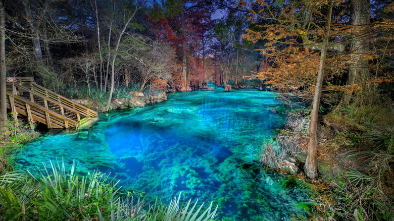 Discover a Serene Paradise at Florida's Hidden Springs State Park: Crystal Waters, Underwater Caves, and Scenic Trails Await