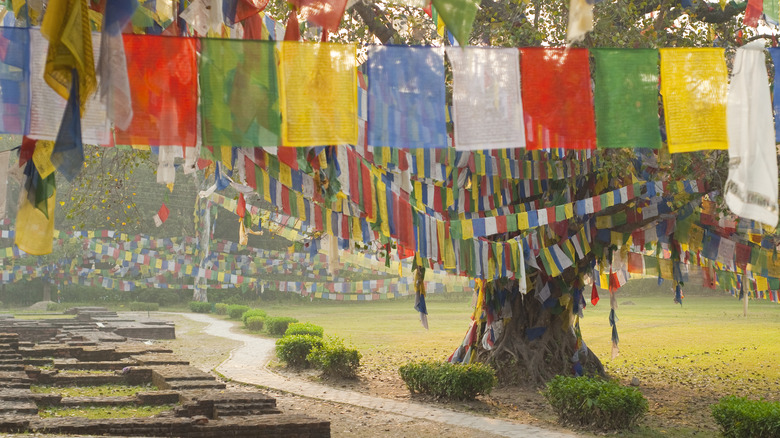 Discover Nepal's Mountainous Haven: Temples and Meditation Retreats in Buddha's Birthplace