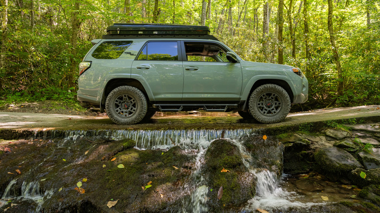 Here's Why Great Smoky Mountains National Park Is Perfect for a Road Trip