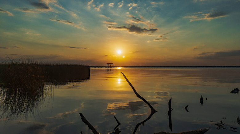 Explore Jacksonville's Top Neighborhood: A Blend of Riverfront Parks and Historic Charm