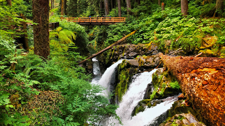 One of Washington's Most Beautiful and Popular Waterfalls Is As Dangerous As It Is Stunning