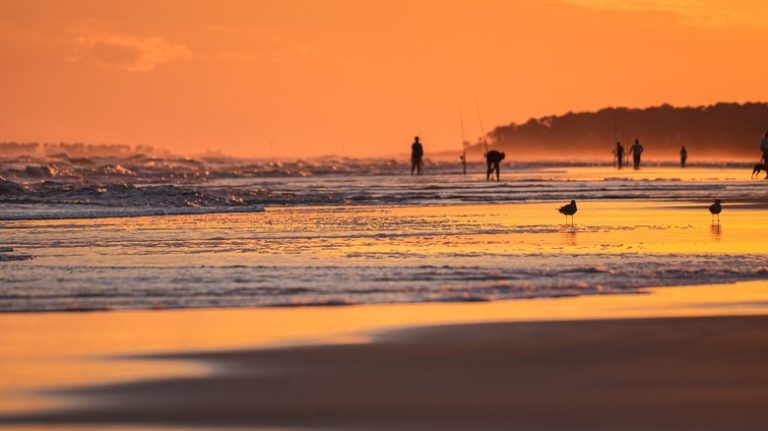 Escape the Crowds: Discover Fun on a Secluded South Carolina Barrier Island Near Myrtle Beach