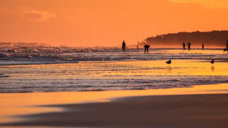 Escape the Crowds: Discover Fun on a Secluded South Carolina Barrier Island Near Myrtle Beach