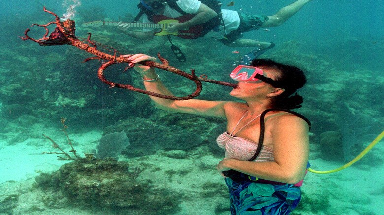 The Florida Keys: A Vacation Spot Featuring the World's Only Underwater Music Festival