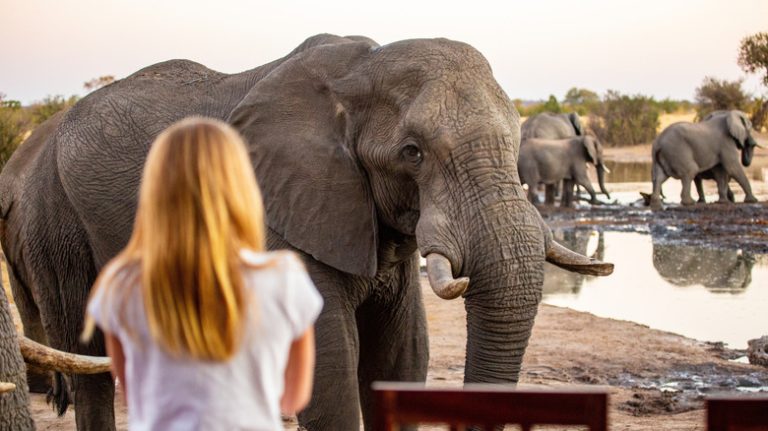 A Massive Nature Park Across Five Countries Boasts Lions, Elephants, and Africa's Most Stunning Waterfall