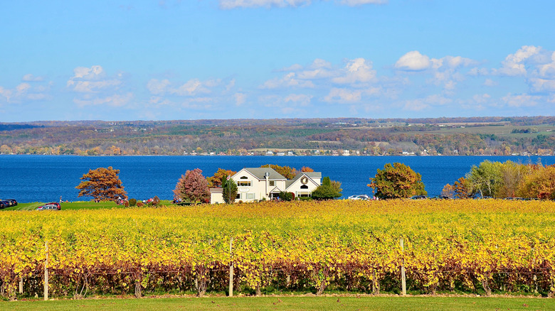 Tucked Away in New York's Famous Finger Lakes: A Waterside Winery Offering Award-Winning Wines and Stunning Views