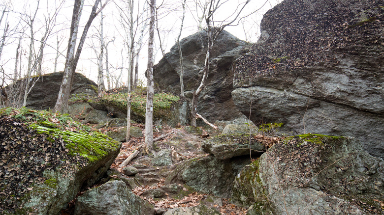 Connecticut's Distinctive Trail Featuring Massive Boulders and Unconventional Caves: A Remarkable One-of-a-Kind Hike