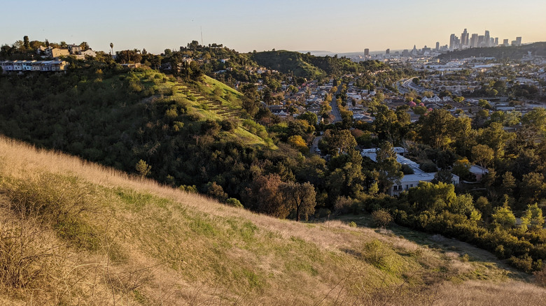 A Hillside Haven in Los Angeles: A Top Neighborhood Merging Untamed Nature with Million-Dollar Views