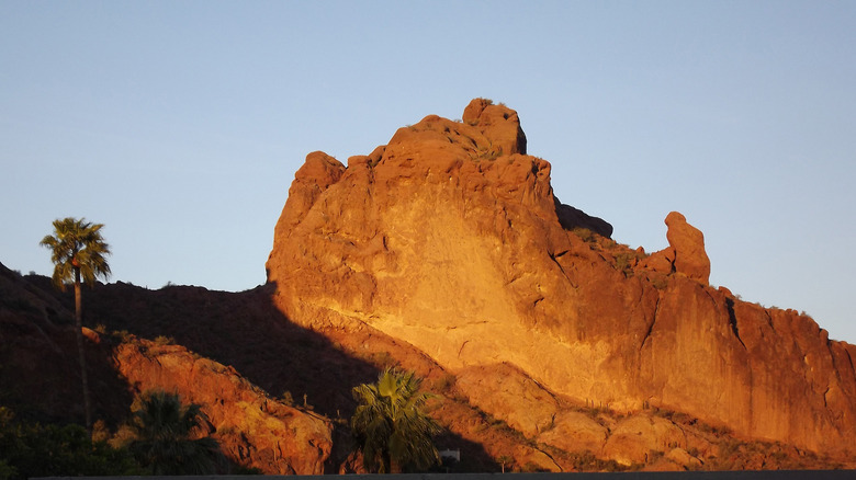 Arizona's Desert Oasis: A Luxurious Retreat with Cactus-Lined Trails, Golf Courses, and Spa Escapes