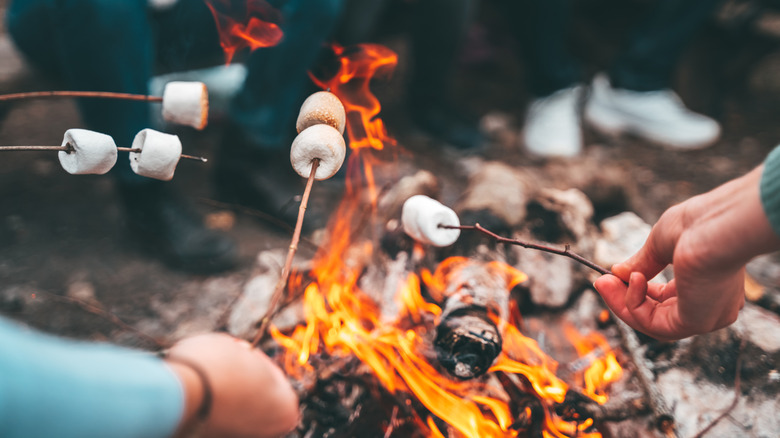 Safe Campfire Alternatives for a Fun-Filled Camping Trip with S'mores and Sing-Alongs