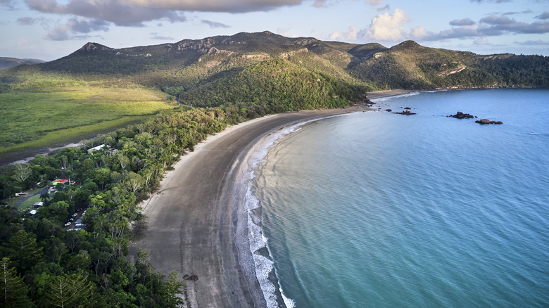 Nestled Between Brisbane and Cairns: Australia's Tropical City Encircled by Pristine Wilderness