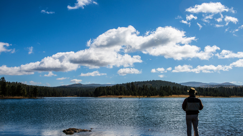 Nestled Between Phoenix and Albuquerque: Arizona's Gem-Like Forest Lake with Unique Cabins and Serenity