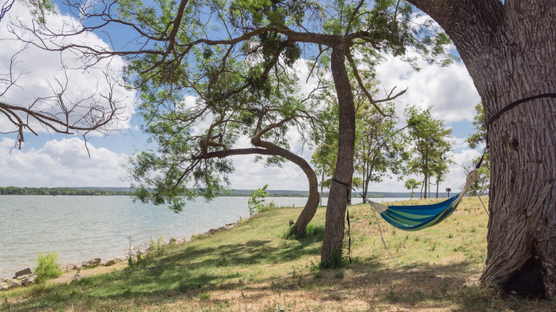 A Budget-Friendly Texas Town Near Dallas Offers World-Class Family Entertainment and Tranquil Green Spaces