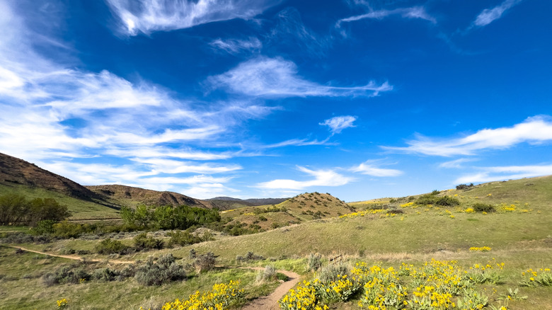 Explore Idaho's Hidden Nature Reserve Near Boise: A Haven for Hikers, Bikers, and Adventurers