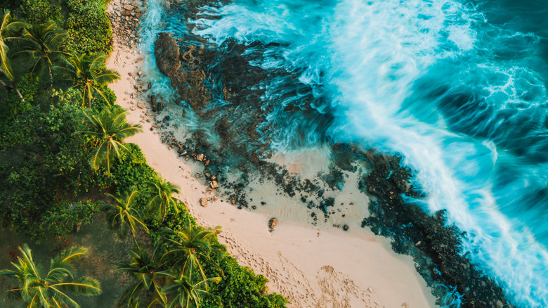 Discover This Hidden Golden Sand Paradise in Hawaii Featuring Oahu's Top Nearby Camping Spots