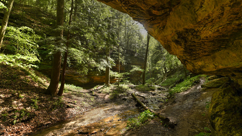 Discover Serenity at This Secluded Indiana State Park with Waterfalls, Ravines, and Opportunities for Hiking, Fishing, and Canoeing