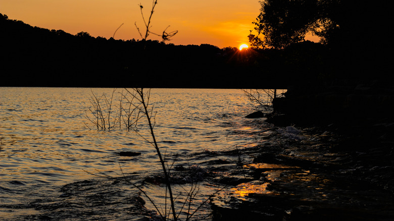Tennessee's Massive Lake Between Nashville and Knoxville: A Recreation Haven